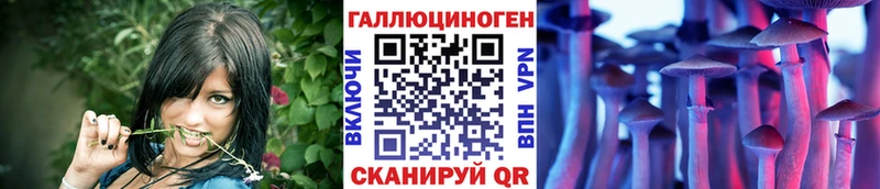 Галлюциногенные грибы Magic Shrooms  наркотики  Шарья 