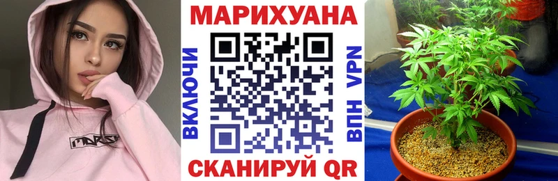 где купить наркоту  Шарья  mega как зайти  Каннабис VHQ 